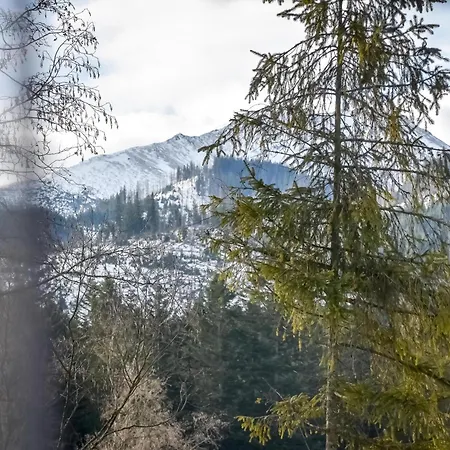 U Justynki 20 Metrow Od Wyciagu