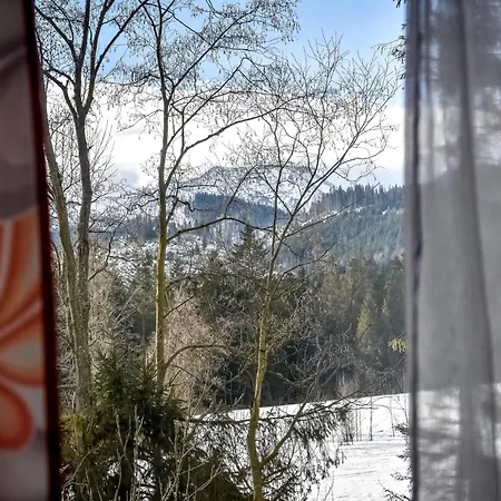 U Justynki 20 Metrow Od Wyciagu