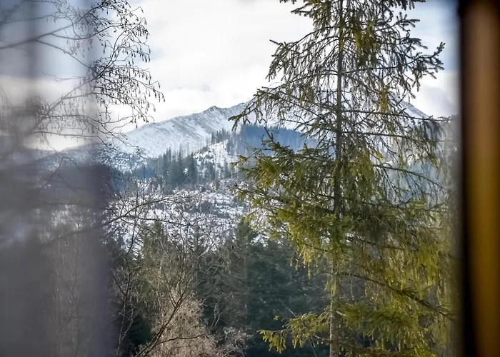 U Justynki 20 Metrów Od Wyciągu Orczykowego